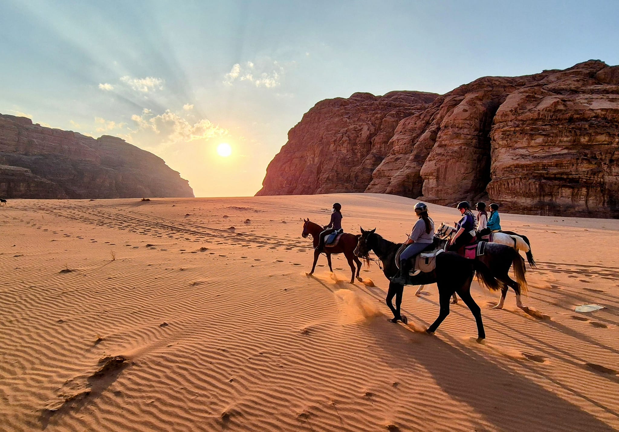 Horse Riding Tours in Wadi Rum by Beyond Wadi Rum Camp